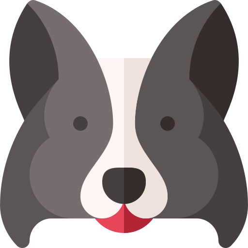 Interdit aux animaux